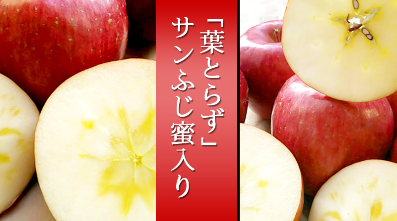 りんごについて – 自然栽培の薄井農園｜安全安心美味しい！