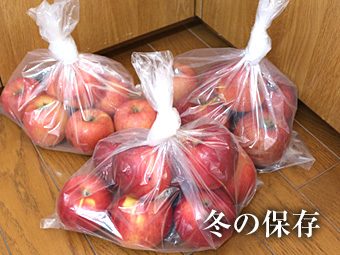 りんごの保存